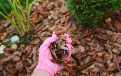 Spring Prep Work Doesn’t Have to be Work