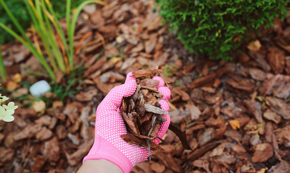 mulch-gardening